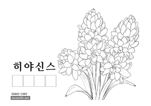 히야신스.png