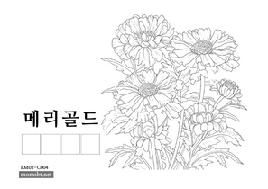 메리골드.png