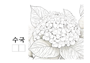 수국.png