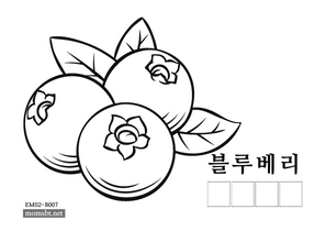 블루베리.png