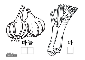 마늘 파.png