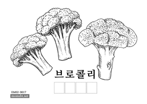 브로콜리.png