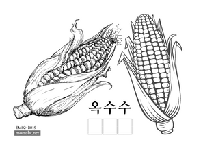 옥수수.png