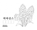 히야신스.png