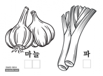 마늘 파.png