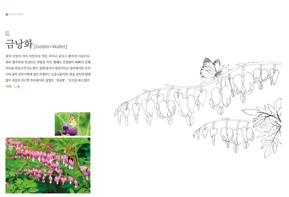 식물은 내친구 컬러링북 (엄마가 좋아하는 식물공부와 그림공부를 한번에)